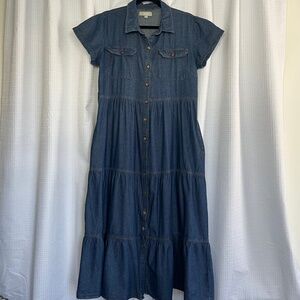 J Gee Denim Button Front Ruffle Hem Maxi Dress (w/pockets)